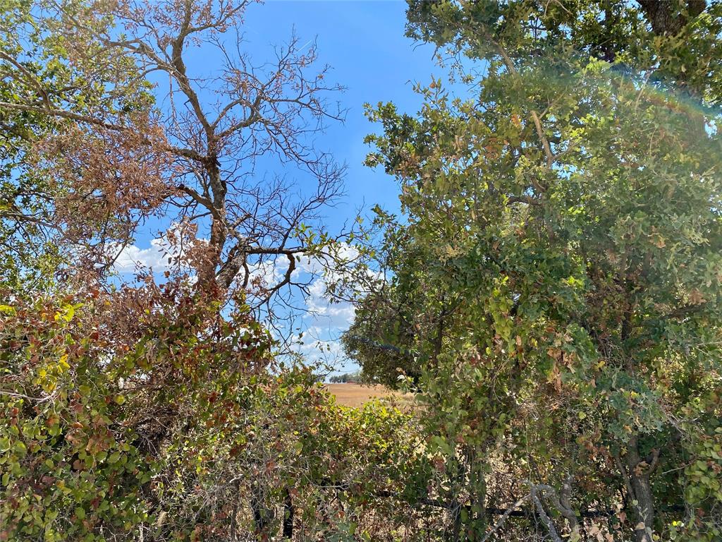 915 Co Road 226 Property Photo 1