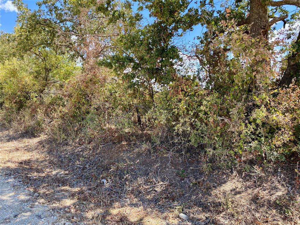 915 Co Road 226 Property Photo 2