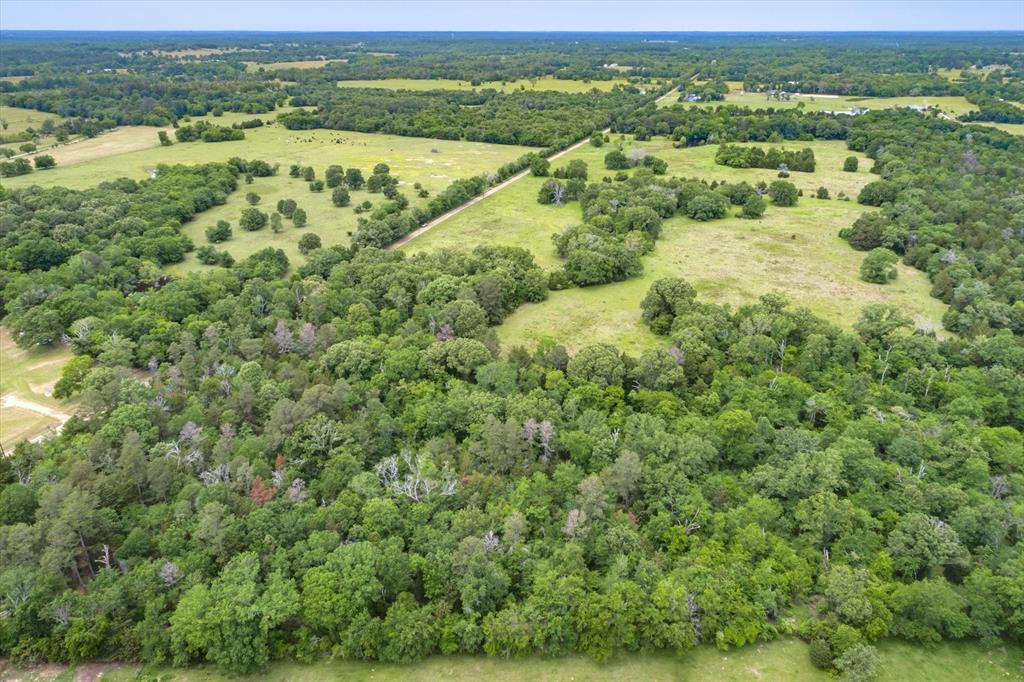 Tbd Vz Cr 4714 (tract 13) Road Property Photo 7