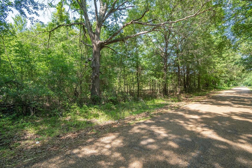 Tbd Vz Cr 4714 (tract 13) Road Property Photo 8