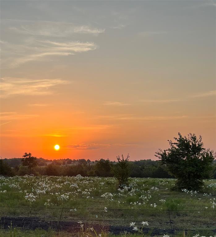Tbd Lot 1 County Road 703 Property Photo 3