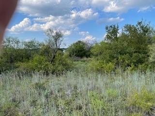 7136 Cork Drive Property Photo 1