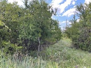 7136 Cork Drive Property Photo 2