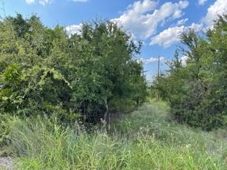 7136 Cork Drive Property Photo 3
