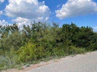 7136 Cork Drive Property Photo 4
