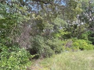 6917 Ireland Drive Property Photo 3