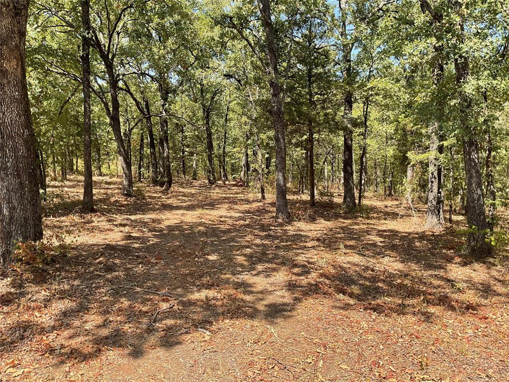 265 Knotted Oaks Court Property Photo 6