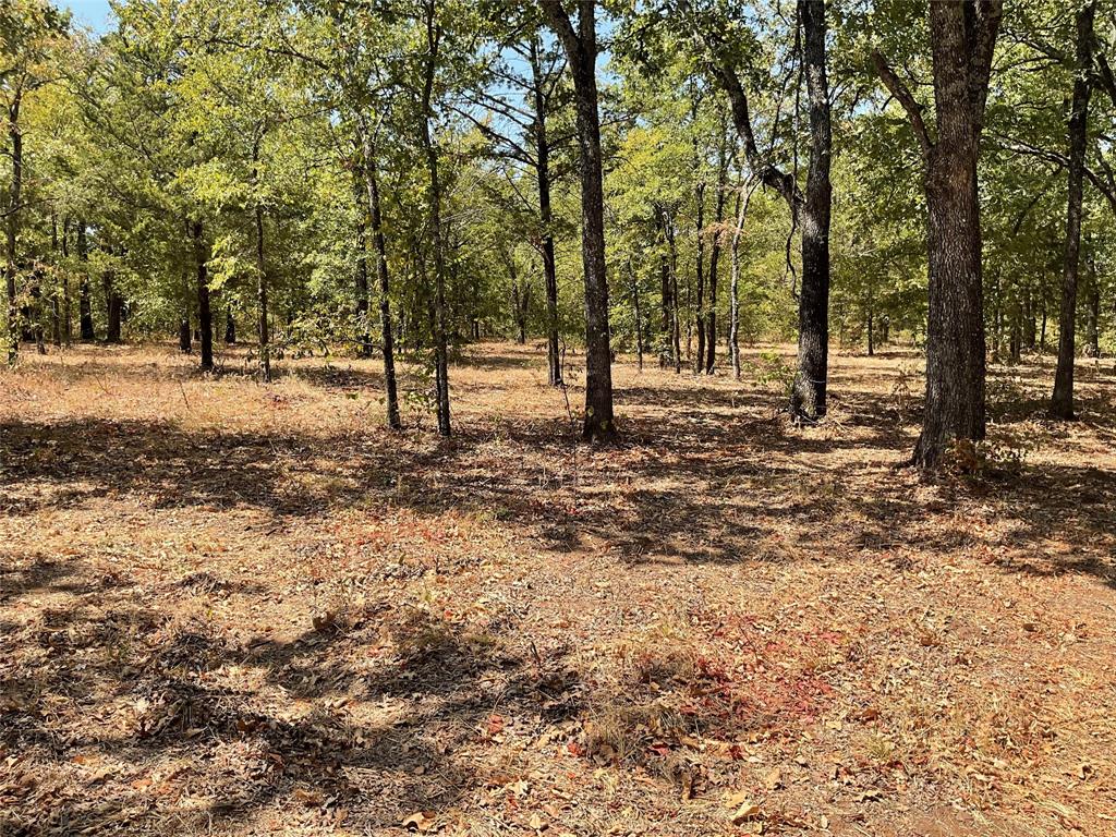 265 Knotted Oaks Court Property Photo 7