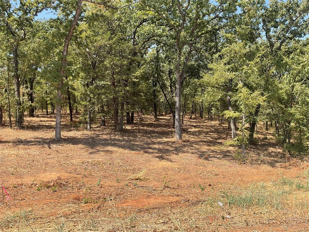 265 Knotted Oaks Court Property Photo 8