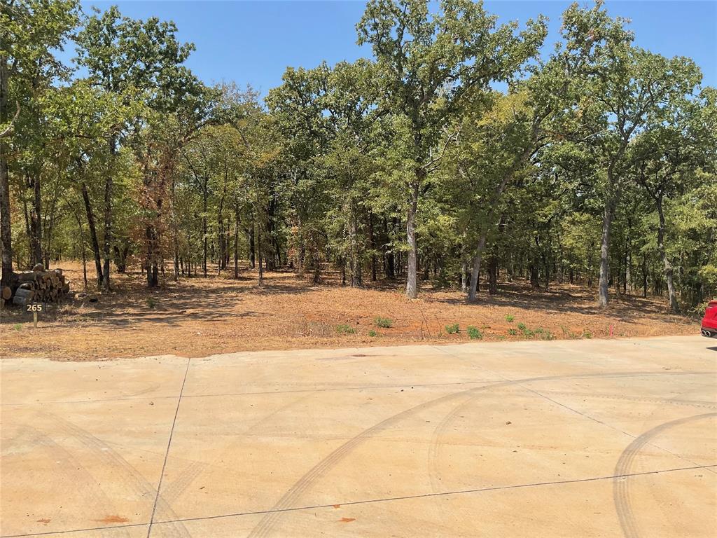 265 Knotted Oaks Court Property Photo 10