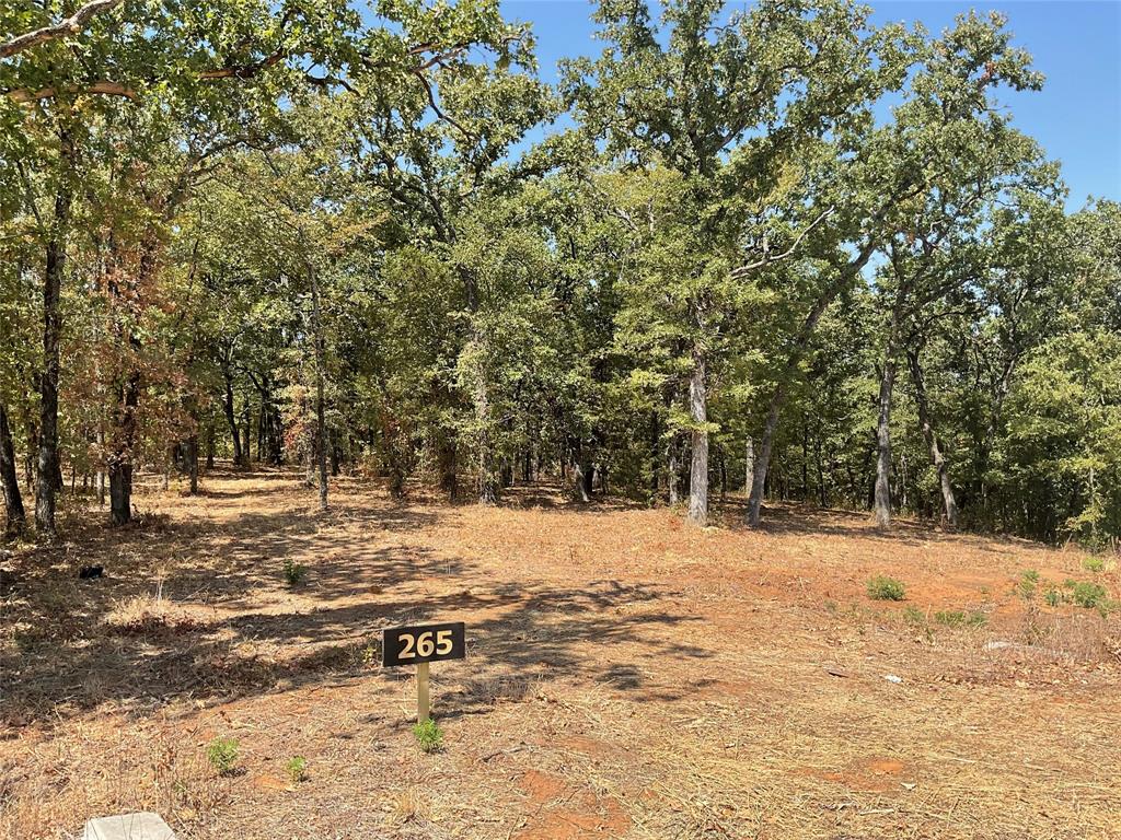 265 Knotted Oaks Court Property Photo 11