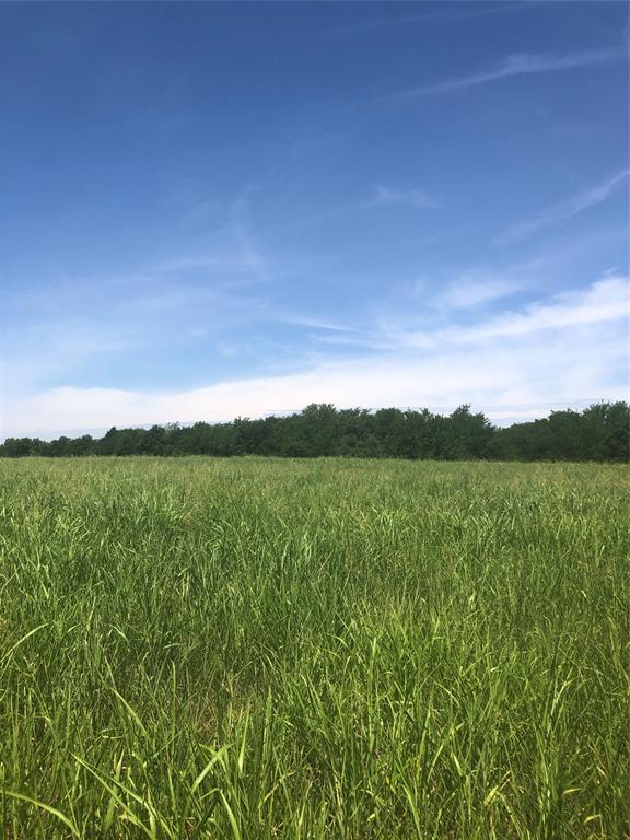 56.89 Acres County Rd 4702 Property Photo 6