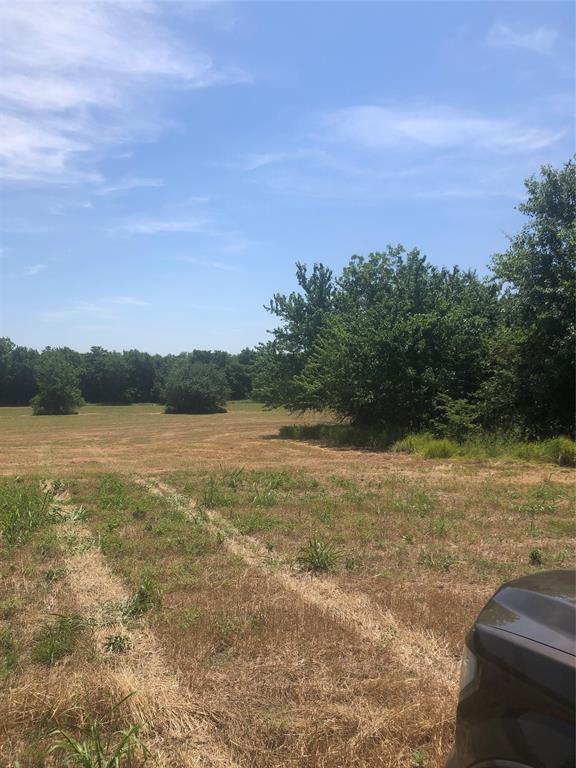 56.89 Acres County Rd 4702 Property Photo 7
