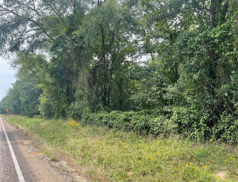 Tbd Fm 1519 Property Photo 1