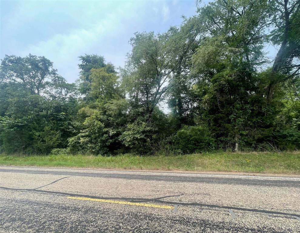Tbd Fm 1519 Property Photo 3