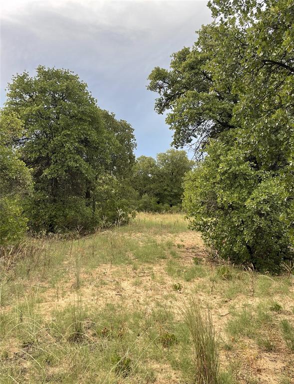 Lot 3 Farm Road 3326 Property Photo 18