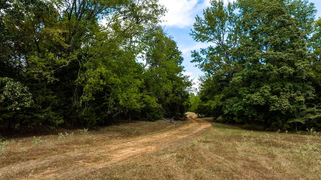 0 Cr 2320 Property Photo 10