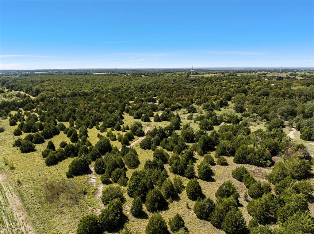Tbd Lot 1 Of 23.5 Acres E Rainer Lane Property Photo 6