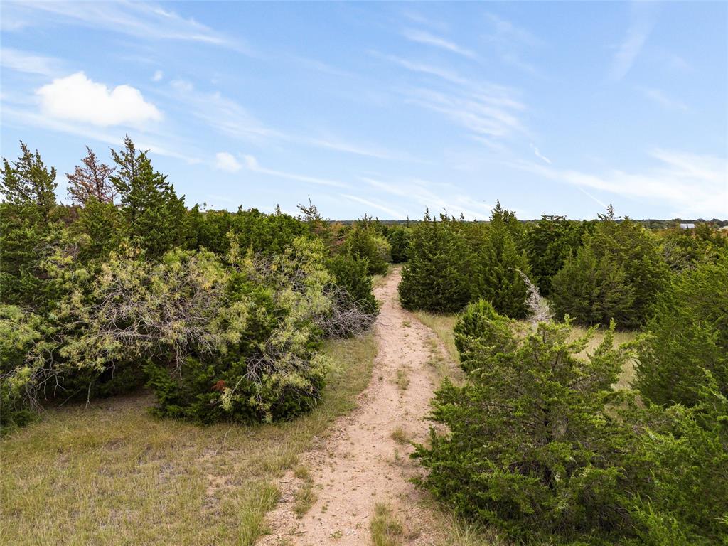 Tbd Lot 1 Of 23.5 Acres E Rainer Lane Property Photo 14