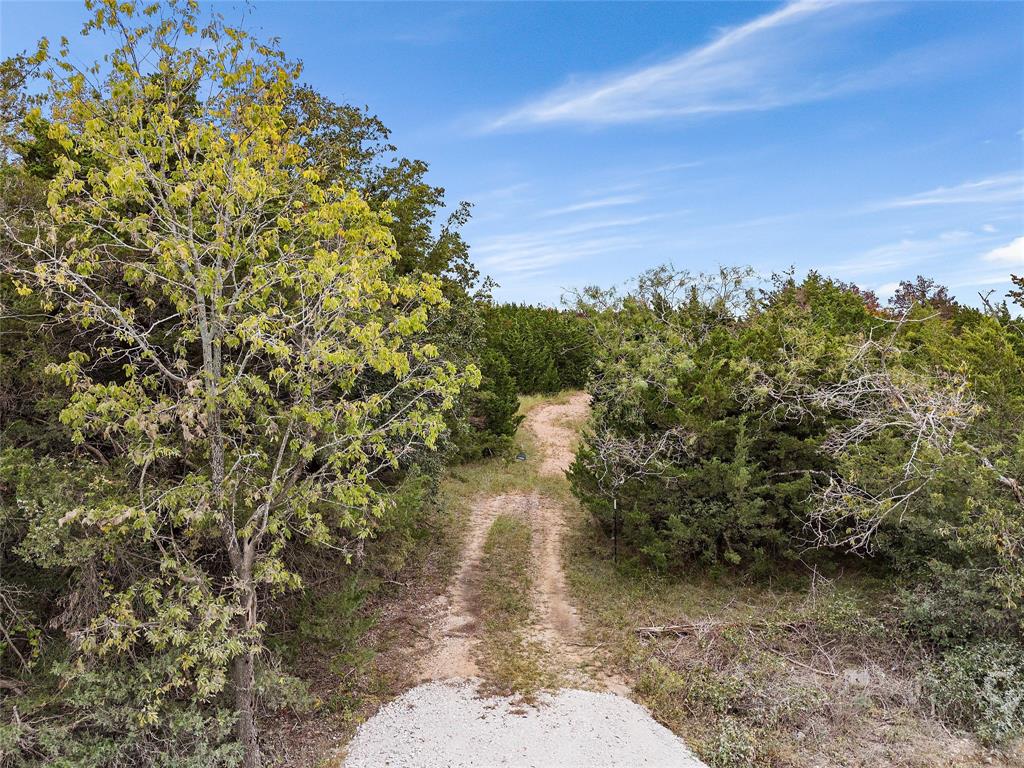 Tbd Lot 1 Of 23.5 Acres E Rainer Lane Property Photo 15