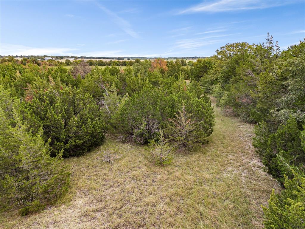 Tbd Lot 1 Of 23.5 Acres E Rainer Lane Property Photo 17