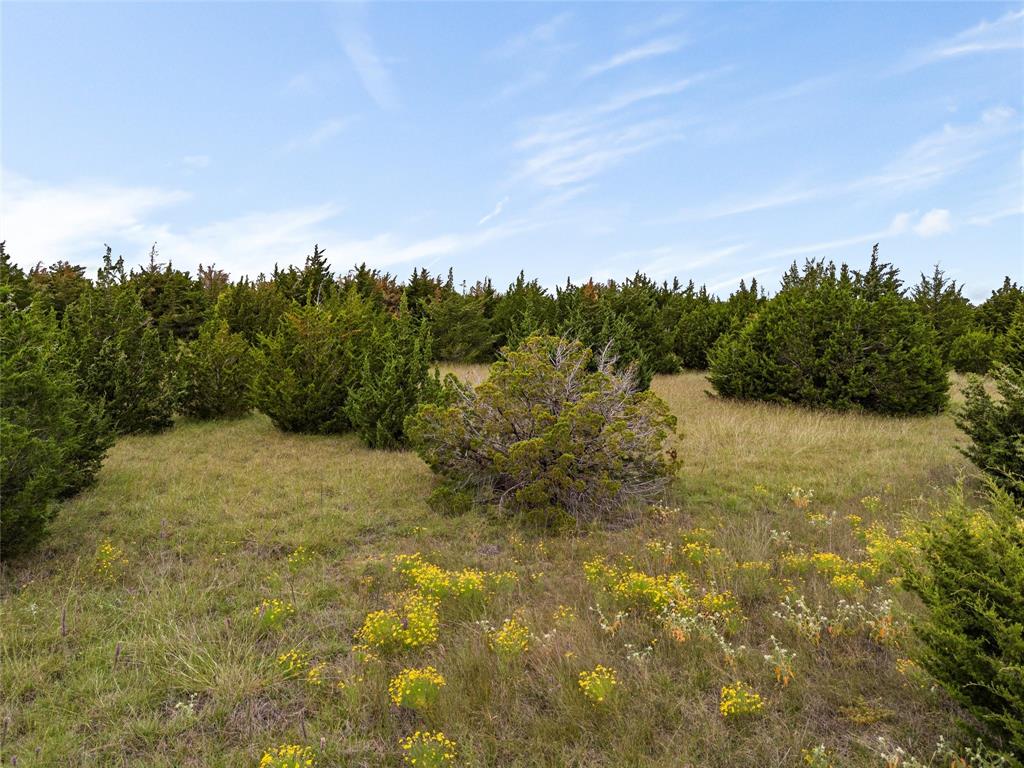 Tbd Lot 1 Of 23.5 Acres E Rainer Lane Property Photo 18