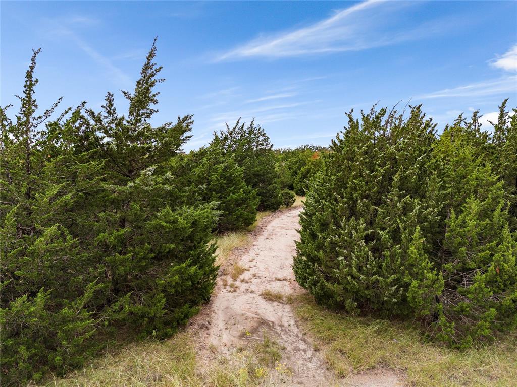 Tbd Lot 1 Of 23.5 Acres E Rainer Lane Property Photo 19