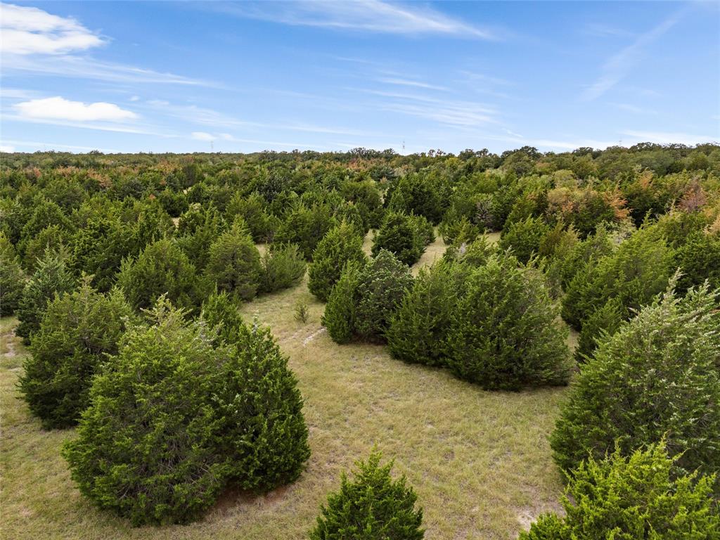 Tbd Lot 1 Of 23.5 Acres E Rainer Lane Property Photo 20