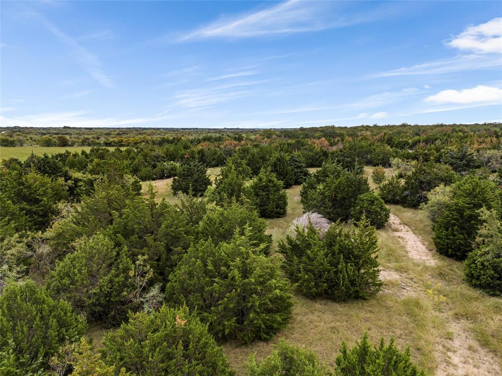 Tbd Lot 1 Of 23.5 Acres E Rainer Lane Property Photo 21