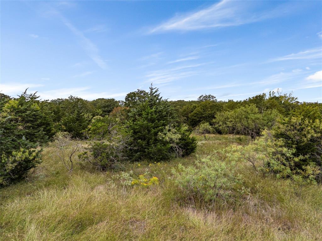 Tbd Lot 1 Of 23.5 Acres E Rainer Lane Property Photo 22