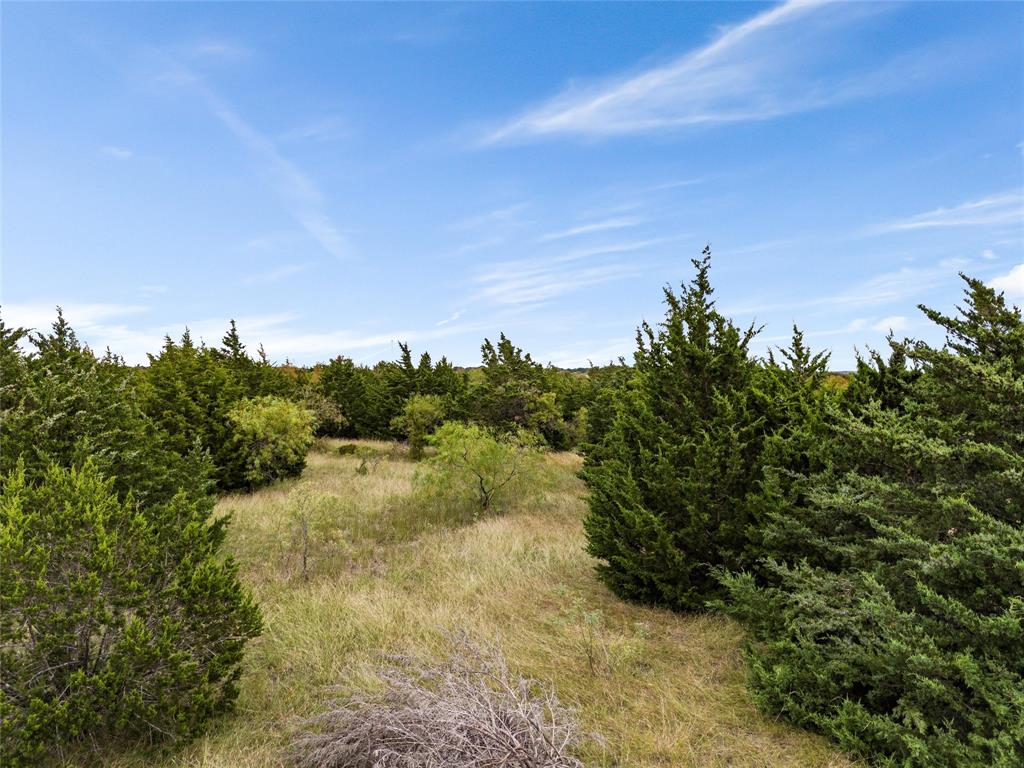 Tbd Lot 1 Of 23.5 Acres E Rainer Lane Property Photo 23