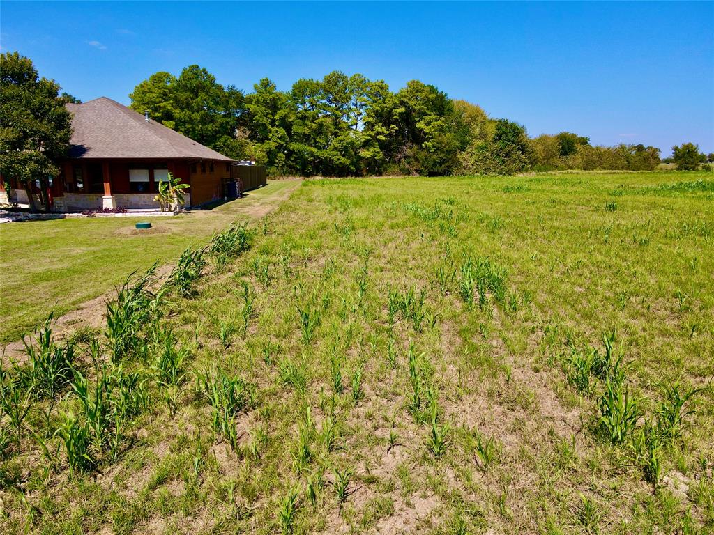 Tbd 4.2 Acres Hwy 287 Property Photo 10