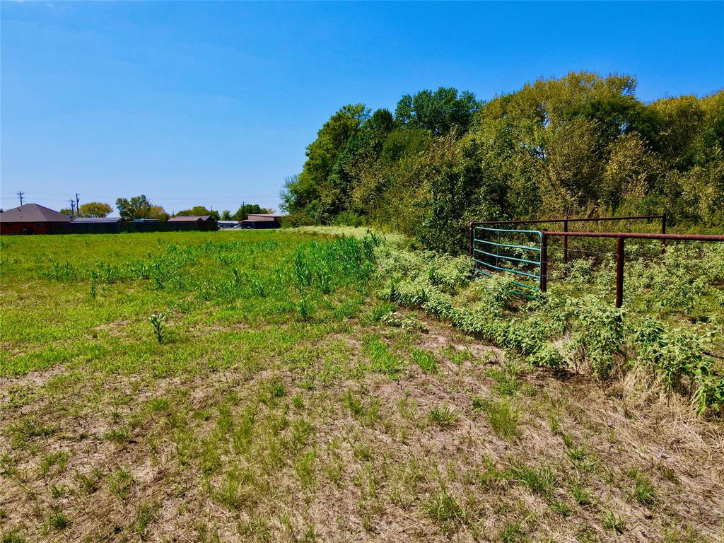 Tbd 4.2 Acres Hwy 287 Property Photo 21