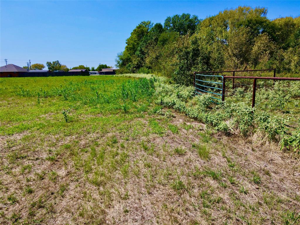 Tbd 4.2 Acres Hwy 287 Property Photo 22
