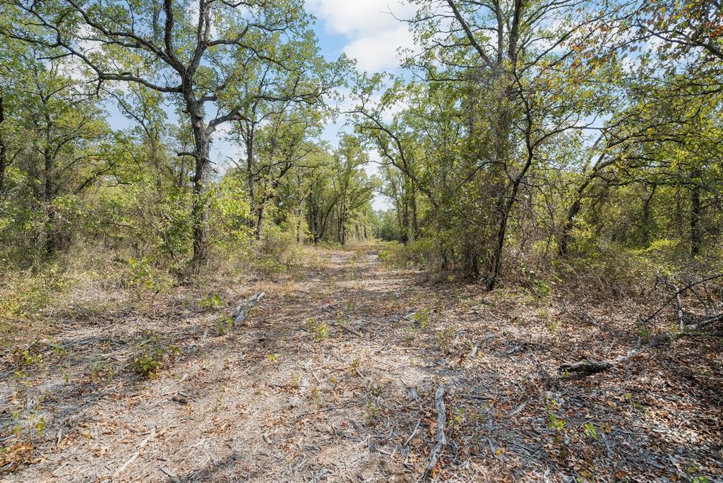 Lot 15 Double B Ranch Road Property Photo 5
