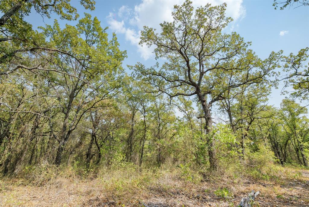 Lot 15 Double B Ranch Road Property Photo 6