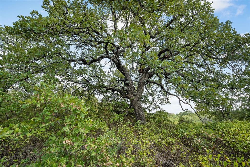 Lot 15 Double B Ranch Road Property Photo 7