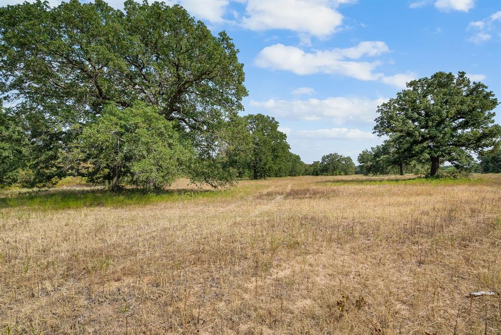 Lot 15 Double B Ranch Road Property Photo 11