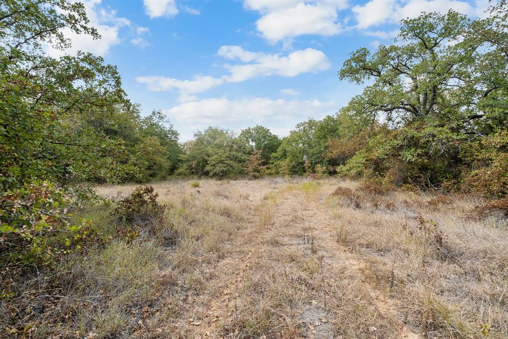 Lot 15 Double B Ranch Road Property Photo 13