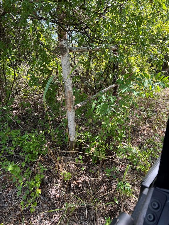 2699 Fm 103 Road Property Photo 21