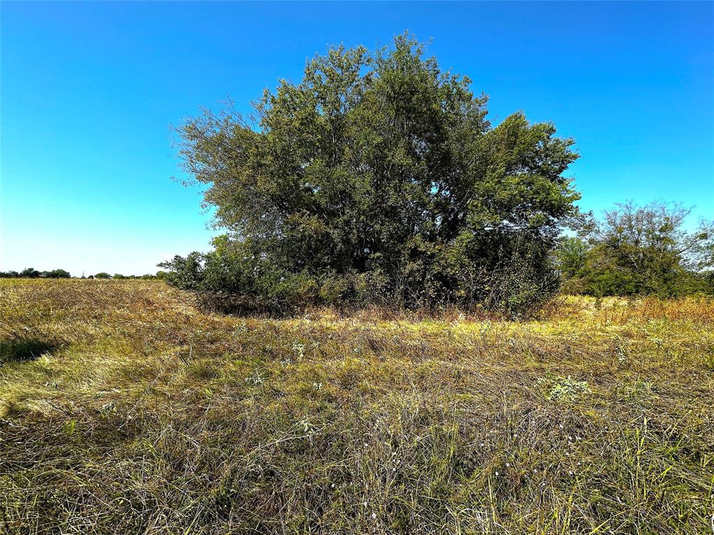 0 Choctaw Trail Property Photo 1