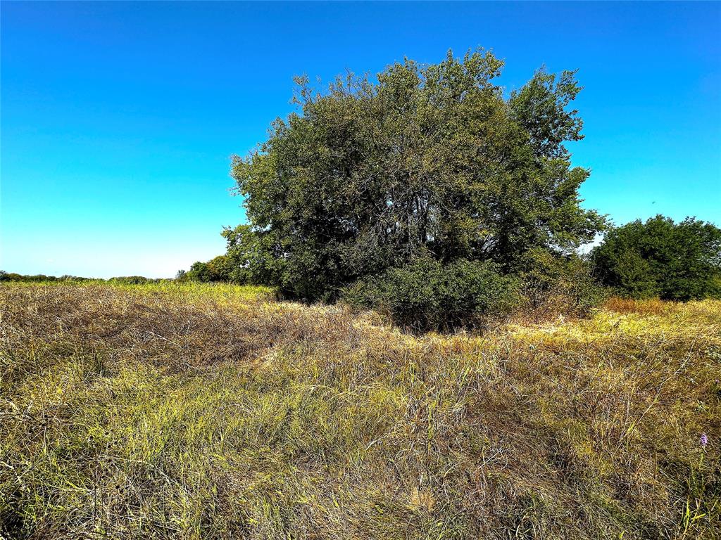 0 Choctaw Trail Property Photo 3