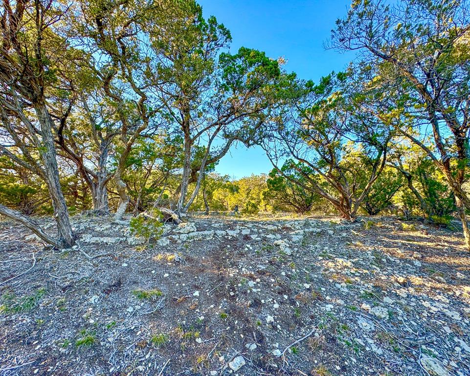 3600 Mt Sharp Rd Property Photo 9