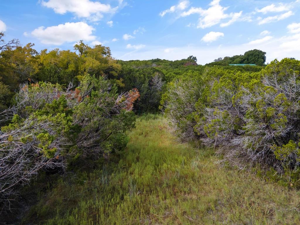 1005 County Rd 407a Property Photo 16