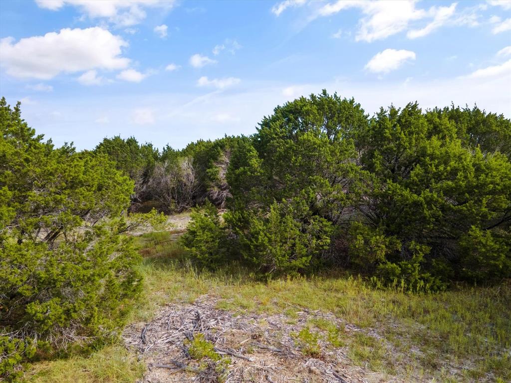 1005 County Rd 407a Property Photo 17