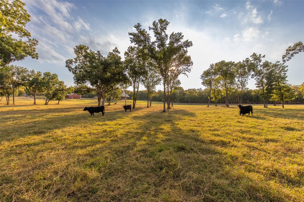 5054 & 5352 Rose Hill Property Photo 12