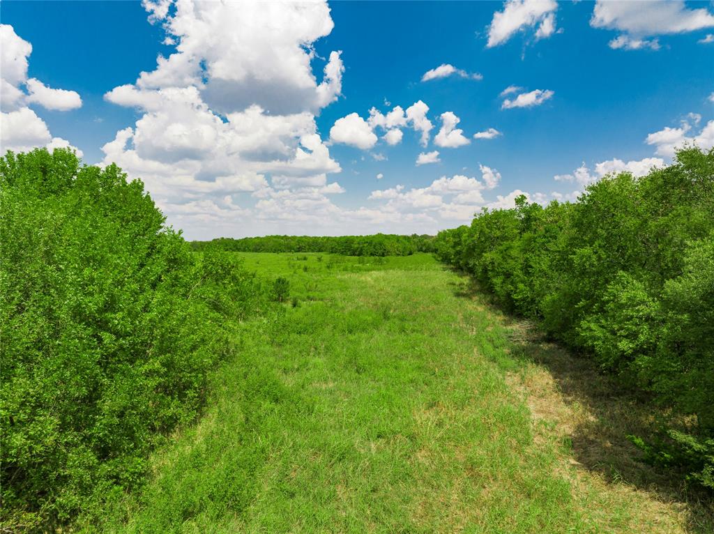 0 Cemetery Road Property Photo 12