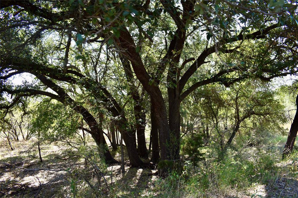 600 County Rd 370 Property Photo 5