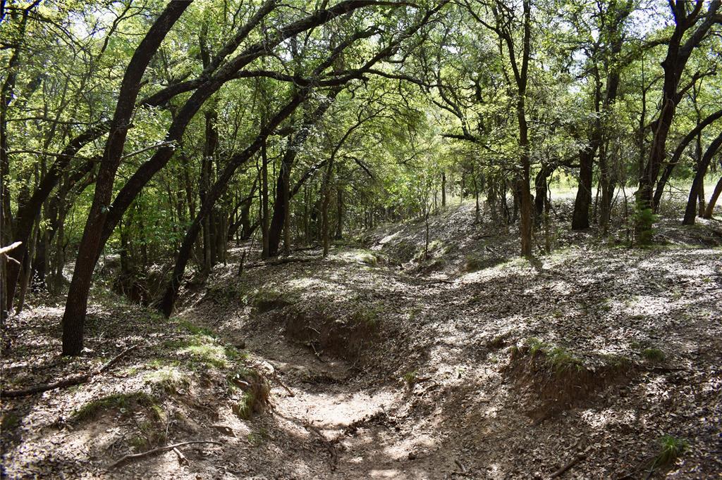 600 County Rd 370 Property Photo 12