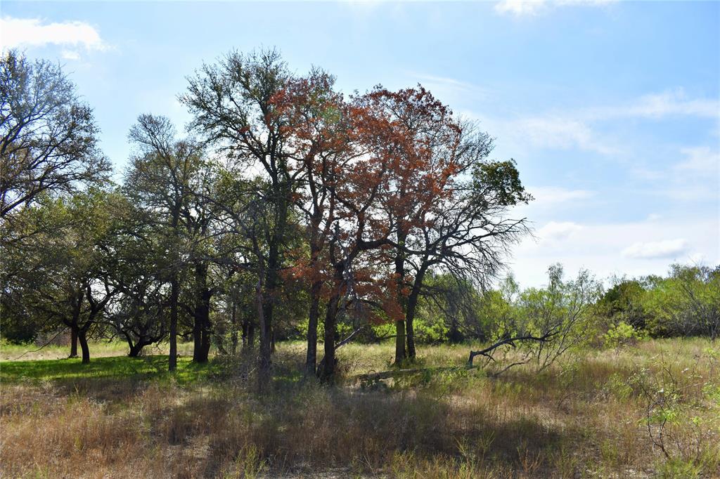 600 County Rd 370 Property Photo 13